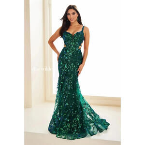 Ellie Wilde Emerald Green Embroidered Lace Prom Gown Open Back Lace-Up sz 4